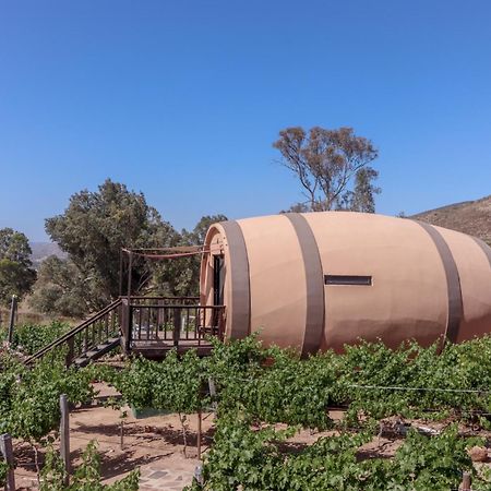 Finca El Mirador Valle de Guadalupe Luaran gambar