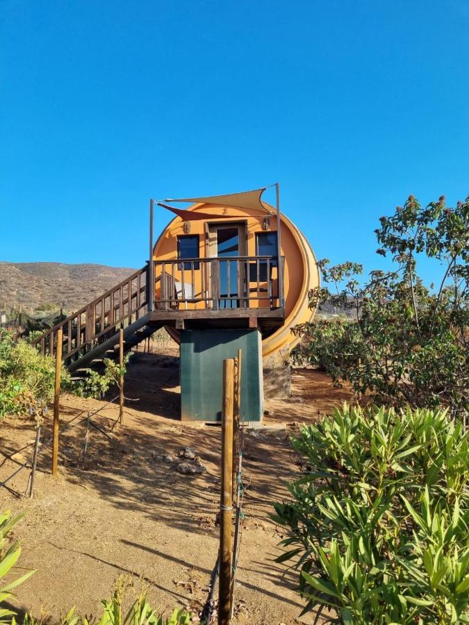 Finca El Mirador Valle de Guadalupe Luaran gambar
