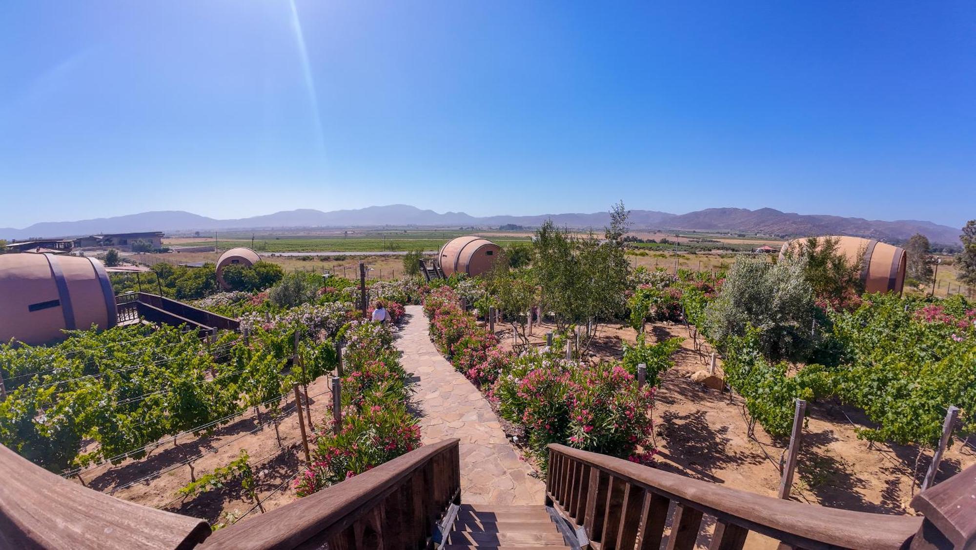 Finca El Mirador Valle de Guadalupe Luaran gambar