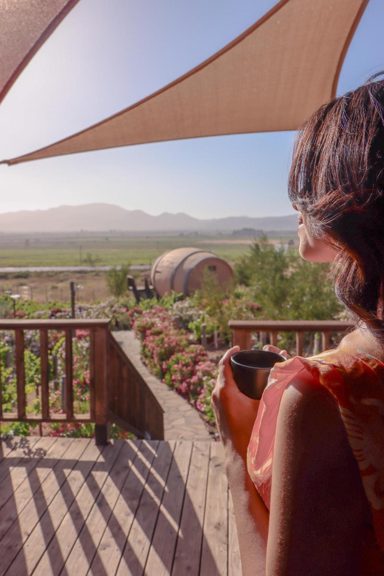 Finca El Mirador Valle de Guadalupe Luaran gambar